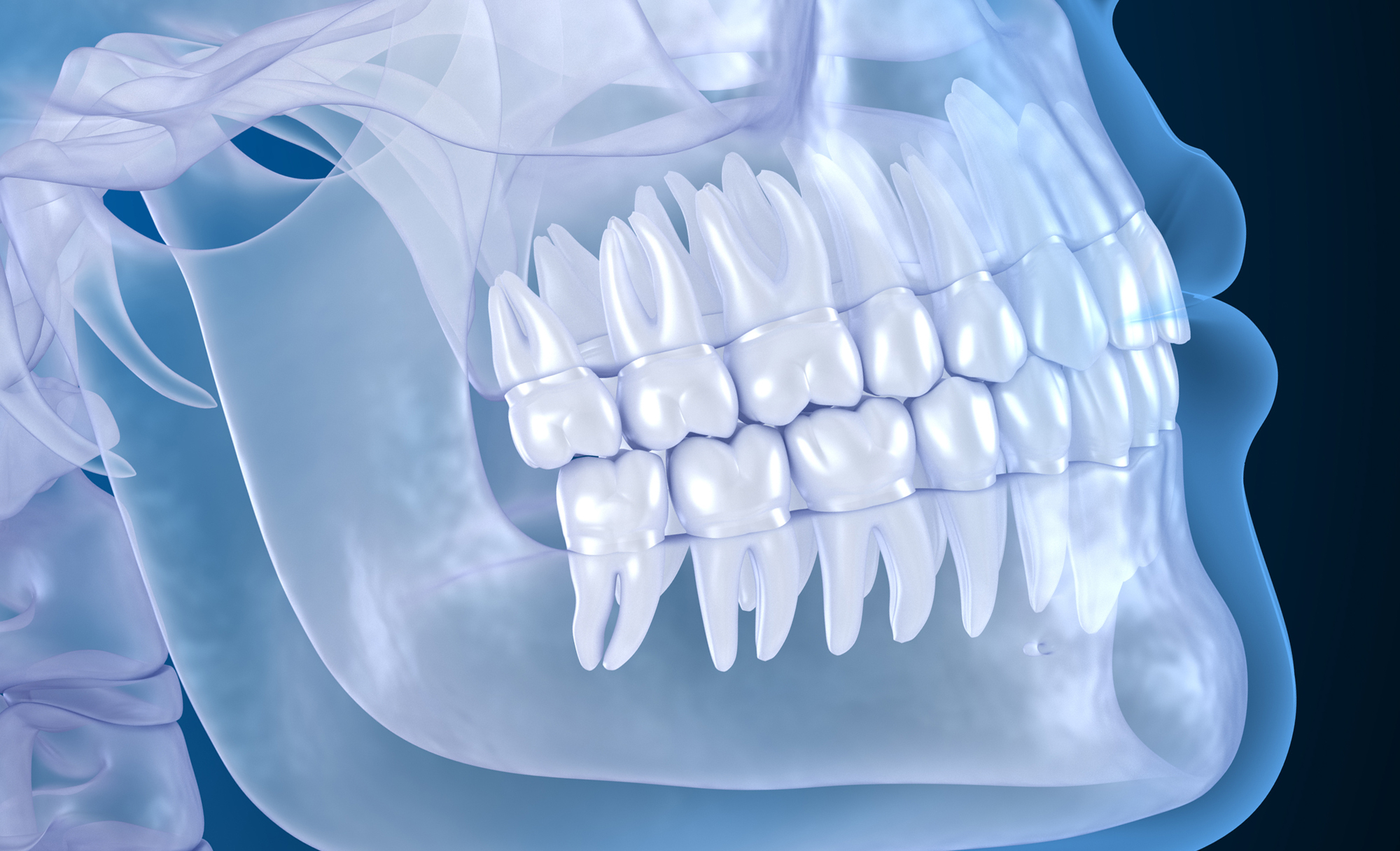 CBCT Scan in Coimbatore